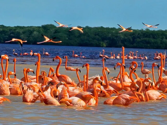 Foto del tour