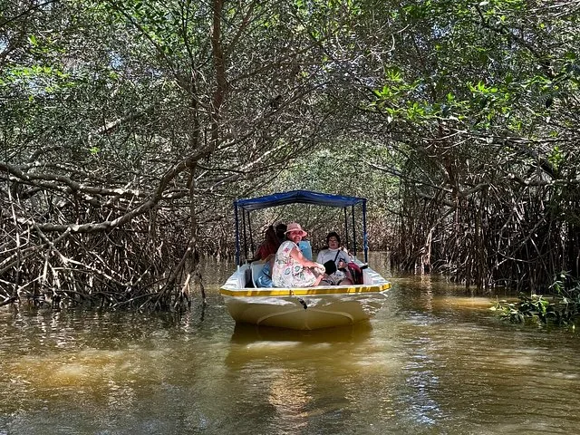Turisti su una piccola barca che navigano attraverso un tunnel formato da fitti rami di mangrovia.