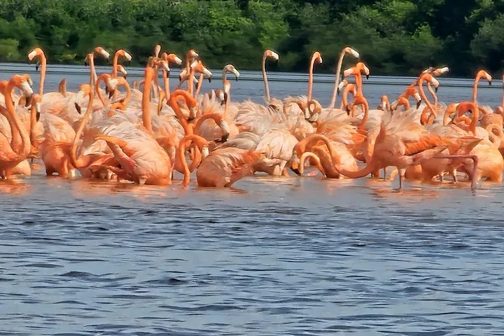 Foto del tour